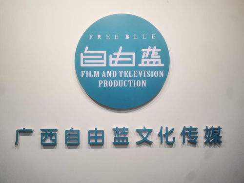 央媒品牌天下播报 全国亚健康标准化建设新闻发布会在广西南宁召开，创意策划引领健康新纪元